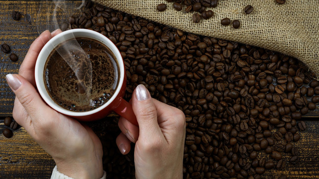 最安価格 コーヒーの香味を探る 風味表現用語集